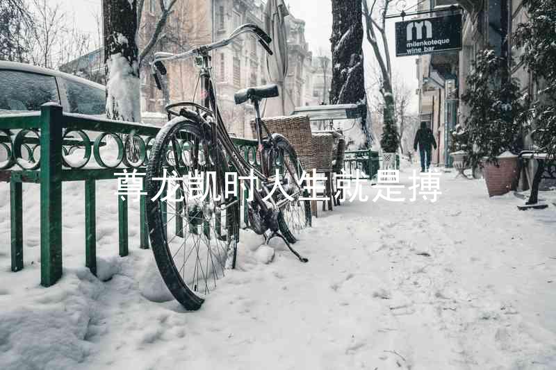 尊龙凯时人生就是搏