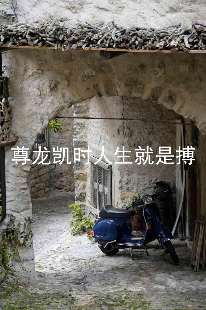 尊龙凯时人生就是搏